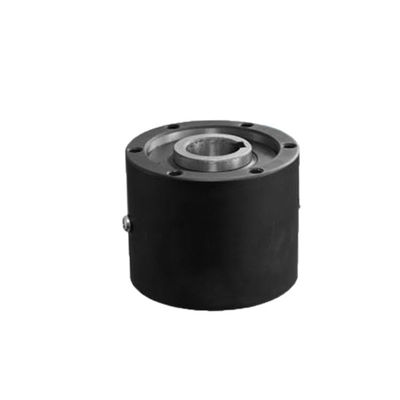 kupować BS160HS BS220HS Jednokierunkowe sprzęgło jednokierunkowe o wysokim momencie obrotowym nad sprzęgłem obrotowym online manufacture